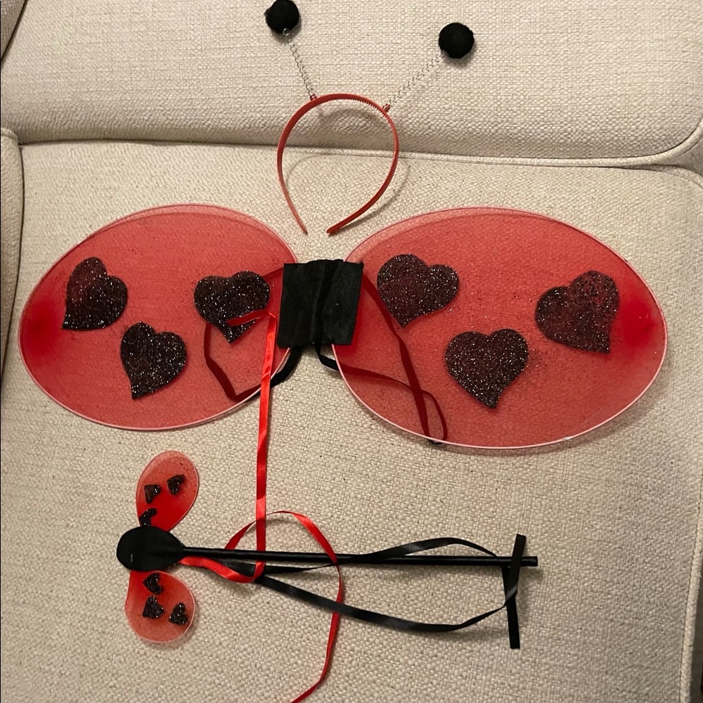 NWT Baby’s ladybug costume. OS